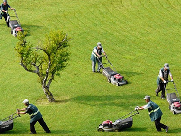 硅巖機(jī)制彩鋼板