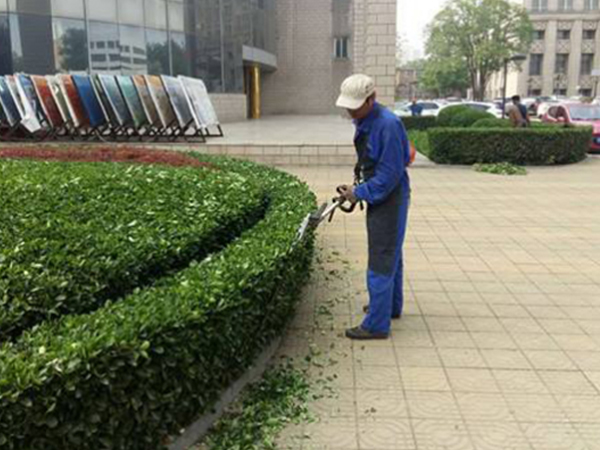 硅巖機(jī)制彩鋼板