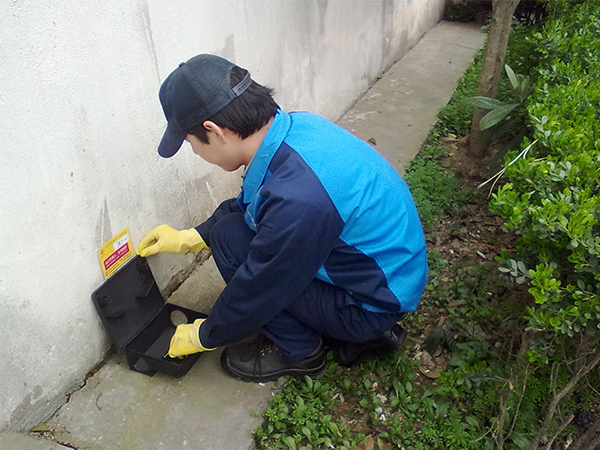 硫氧鎂機(jī)制彩鋼板